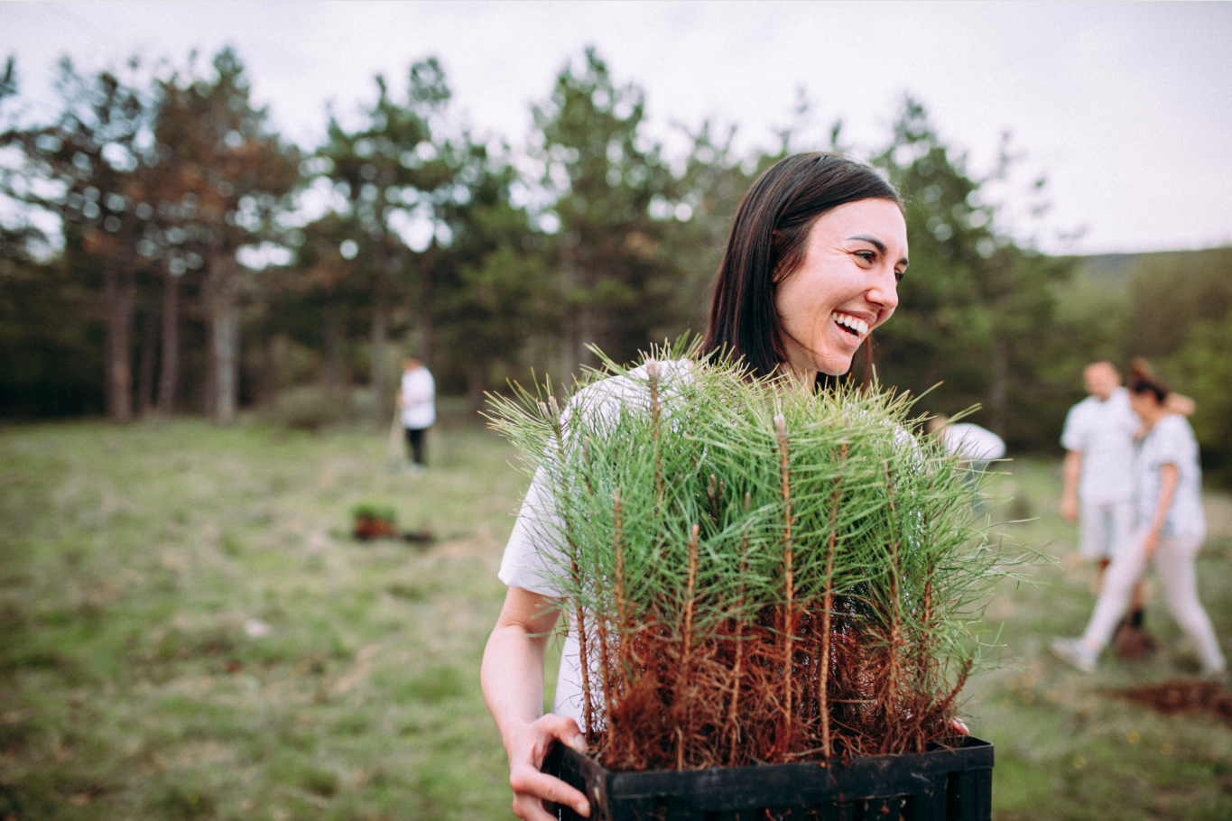 Driving Local Sustainability with the Royal Bank of Scotland Regenerate Fund